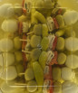 Gildas de huevo y boqueron