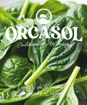 Espinacas Extra al Natural