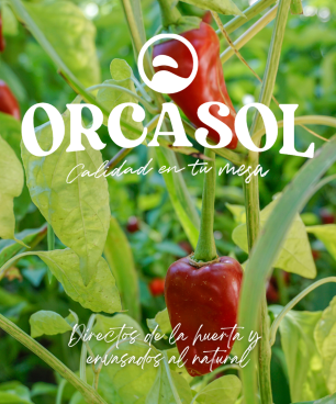 Pimientos del piquillo enteros extra D.O.LODOSA