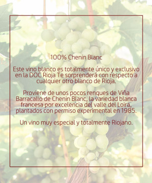 RULEI Viña barracallo Chemin de Pierres 2023