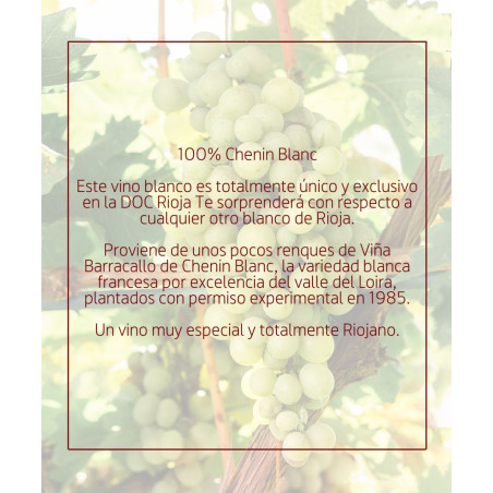 RULEI Viña barracallo Chemin de Pierres 2023