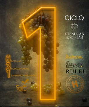 1º Ciclo de Cata (6 botellas, 3 bodegas, 1 experiencia inolvidable)