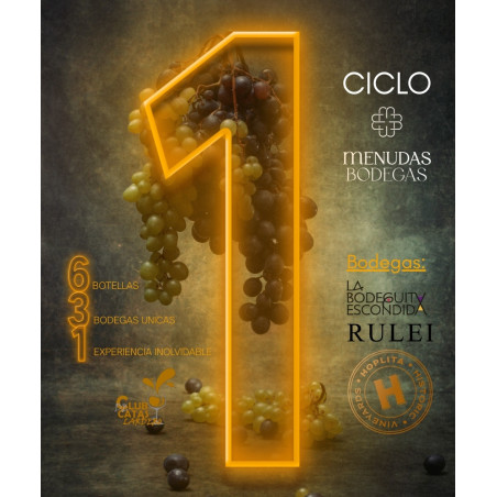 1º Ciclo de Cata (6 botellas, 3 bodegas, 1 experiencia inolvidable)