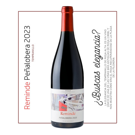 2º Ciclo de Cata (6 botellas, 3 bodegas, 1 experiencia inolvidable)