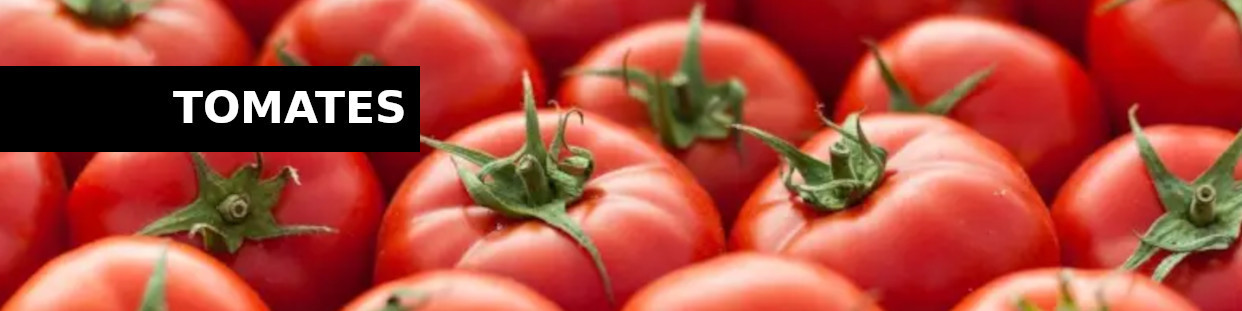 Tomates