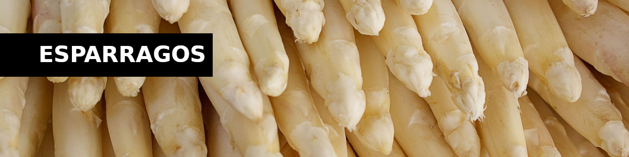 Espárragos